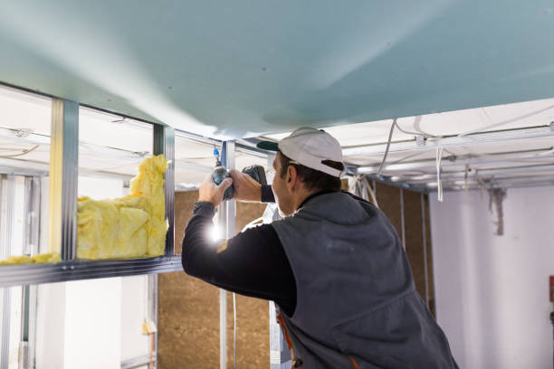 Types of Insulation We Offer in East Riverdale, MD