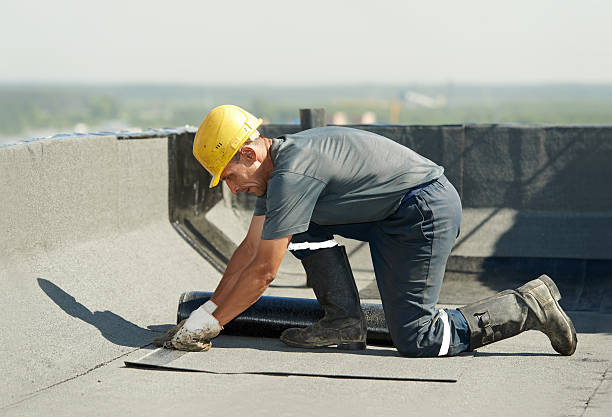 Best Specialized Insulation Services in East Riverdale, MD