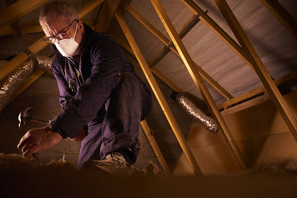 Professional Insulation Contractor in East Riverdale, MD