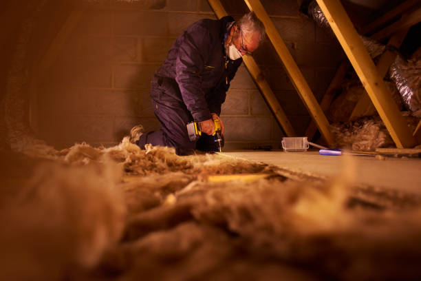 Types of Insulation We Offer in East Riverdale, MD